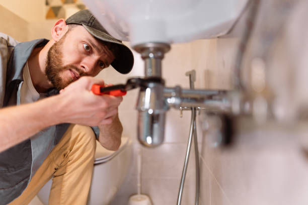 Best Plumbing Inspection Services  in Eagar, AZ