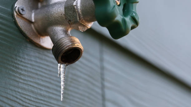 Best Plumbing Repair Near Me  in Eagar, AZ